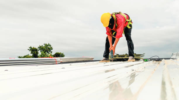 Roof Moss and Algae Removal in Bamberg, SC