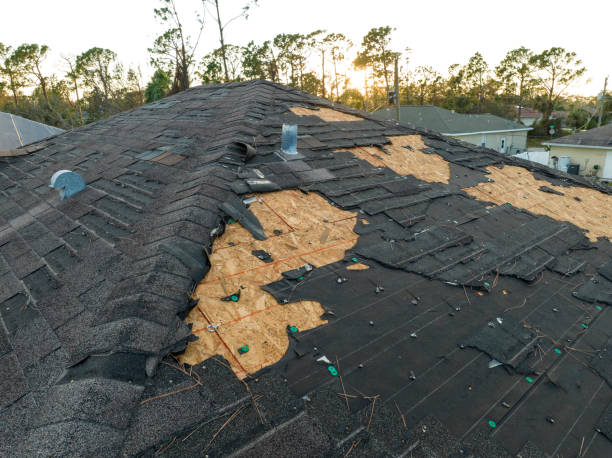 Best Skylight Installation and Repair  in Bamberg, SC